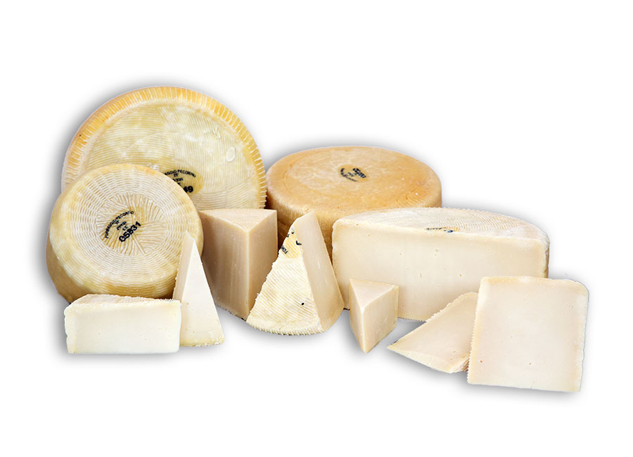 pecorino bianco